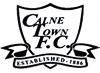 Wappen Calne Town FC