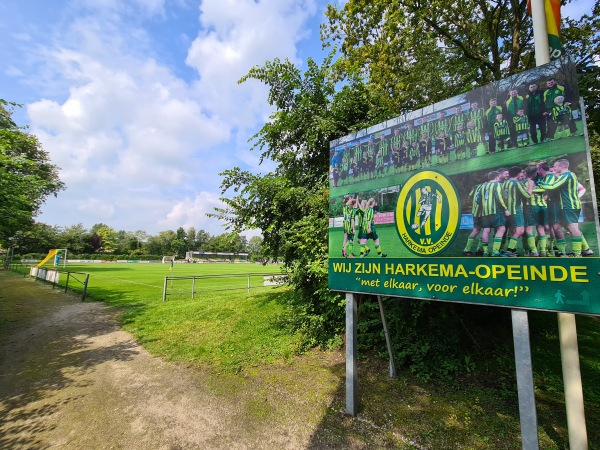 Sportpark De Bosk veld 5-HO - Achtkarspelen-Harkema