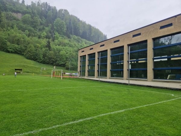 Sportplatz Oberstufenzentrum - Necker