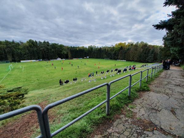 Waldstadion - Reinsdorf/Sachsen-Vielau