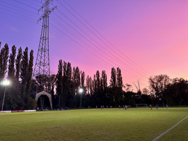 Sportanlage auf der Südspitze Platz 2 - Niederwerth