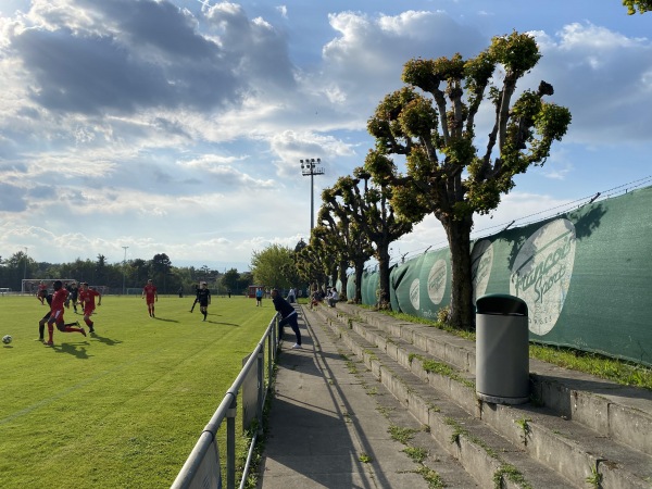 Stade du Censuy - Renens VD