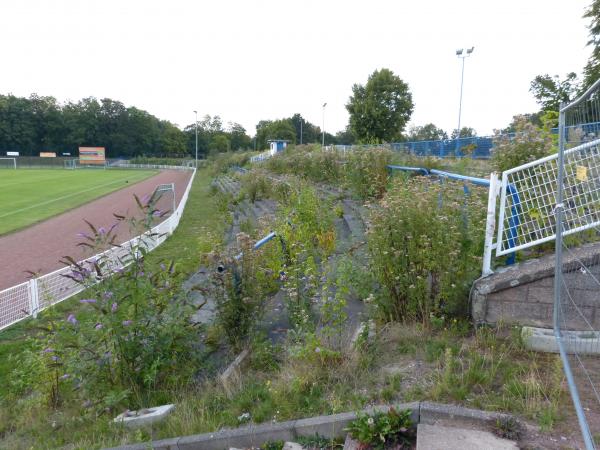 Stand Ende August 2019: Übelst verwildert!