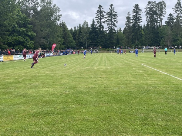 Sportplatz im Hasenmerkle - Wildberg/Schwarzwald-Effringen