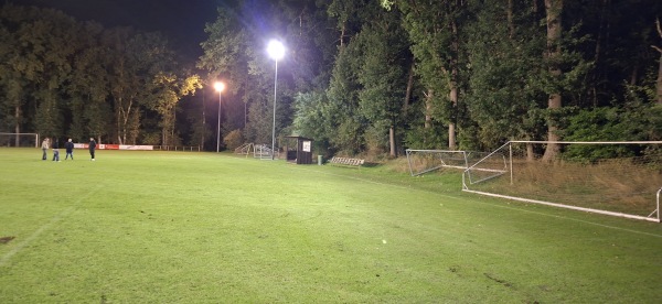 Waldstadion - Wenzendorf