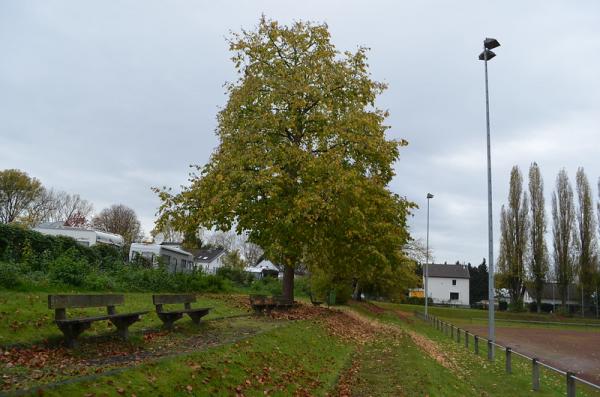 Hermann-Wallraf-Sportanlage - Königswinter-Oberdollendorf