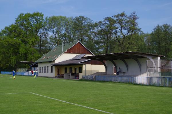 Fotbalové hřiště Udlice - Udlice