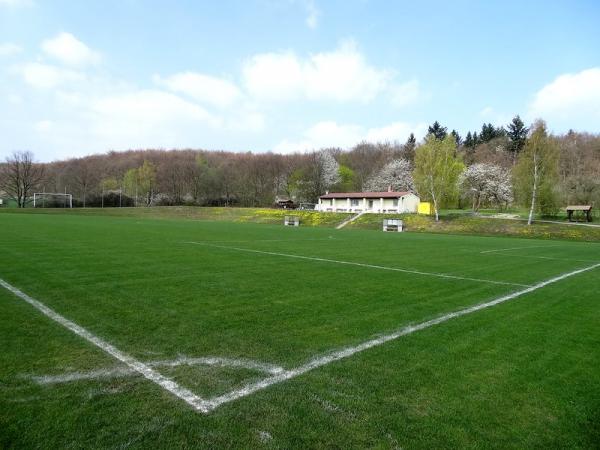 Sportplatz Pansfelde - Falkenstein/Harz-Pansfelde