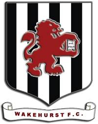 Wappen Wakehurst FC  52925
