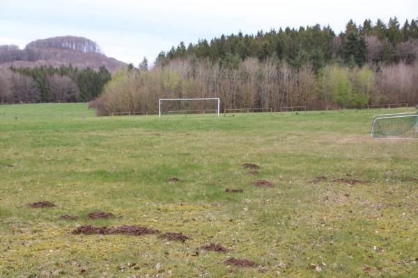 Waldstadion - Betteldorf