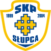 Wappen SKP Słupca  22802