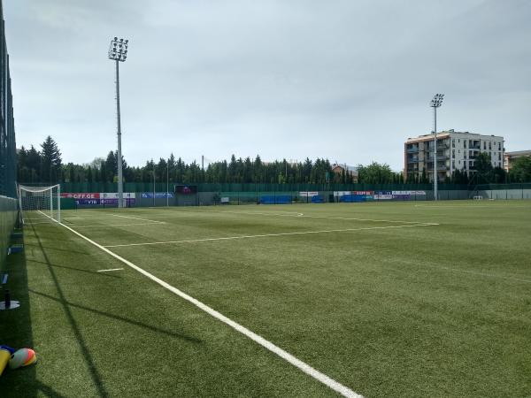 Vitali Daraselia Academy - Tbilisi