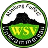 Wappen WSV Unterammergau 1924