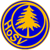 Wappen Hohenfichtener SV 1950
