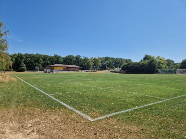 Centre Sportif Intercommunal des Evaux terrain 5 - Onex