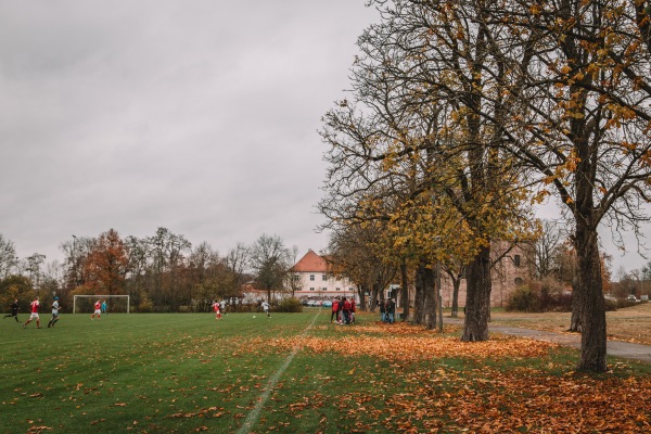 Sportanlage Allersberger Straße Platz 2 - Freystadt/Oberpfalz