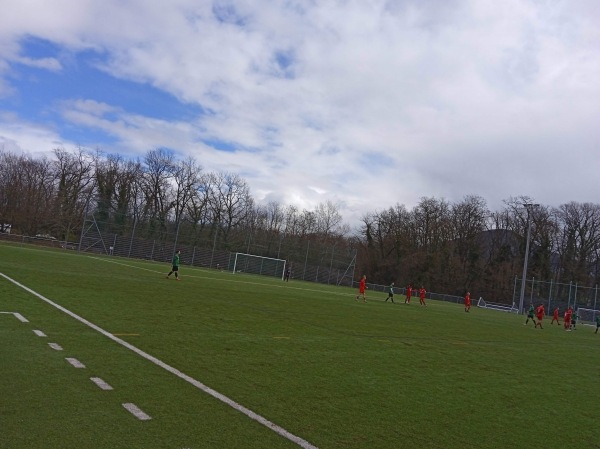 Stade du Grand-Donzel terrain B - Veyrier