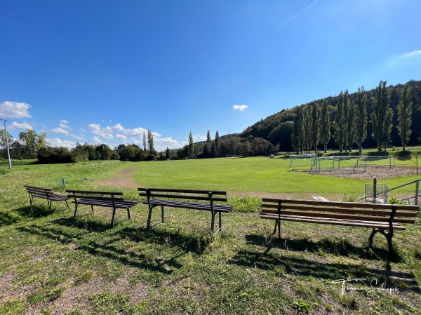 Sportplatz-Immelborn - Barchfeld Immelborn