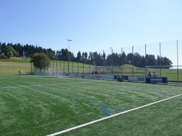Sportplatz Beichlen Platz 2 - Wädenswil