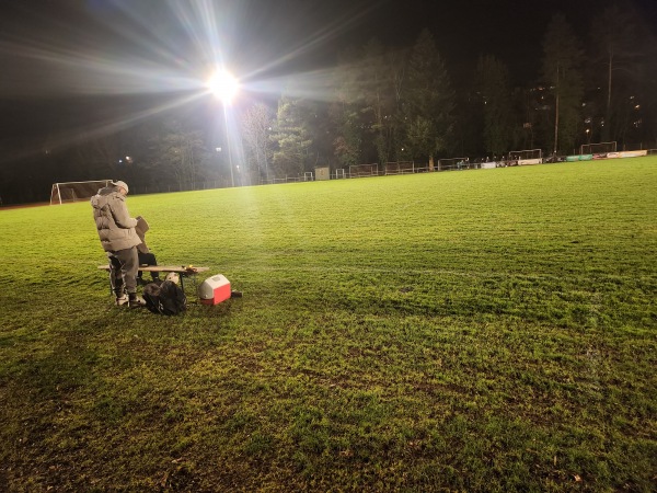 Sportgelände an den Kuranlagen - Calw-Hirsau