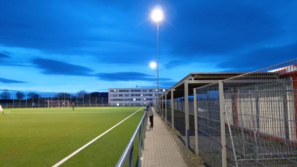 Erlenmattenstadion Nebenplatz 1 - Bad Krozingen 