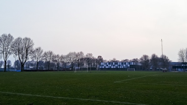 Sportpark De Wieën veld 6 - Venray