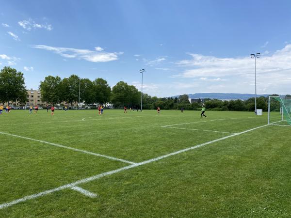 Sportanlage Zelgli Platz 2 - Schlieren