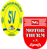 Wappen SG BG Mülsen II / Thurm (Ground B)  46403