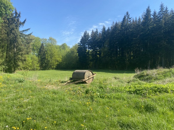 Waldstadion Nebenplatz - Lübstorf