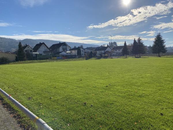 Sportplatz Heiligenzell - Friesenheim/Baden-Heiligenzell
