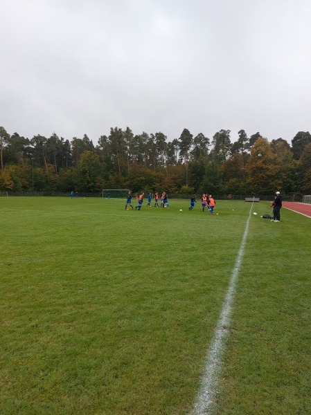 ASV-Sportgelände - Harthausen bei Speyer