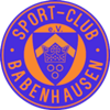 Wappen SC Babenhausen 1967 II