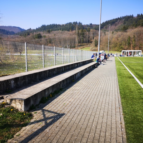 Erwin Himmelseher Arena - Bad Säckingen-Obersäckingen