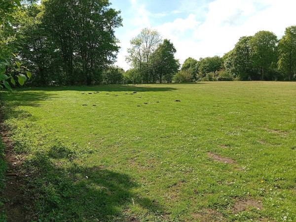 Sportplatz Grundschule an der Schwale - Neumünster-Faldera