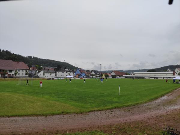 Sportplatz an der Donauhalle - Immendingen