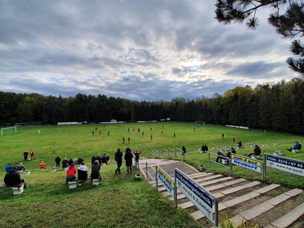 Waldstadion - Reinsdorf/Sachsen-Vielau