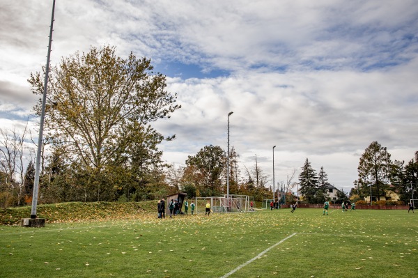 Heidestadion Nebenplatz - Dahlen/Sachsen