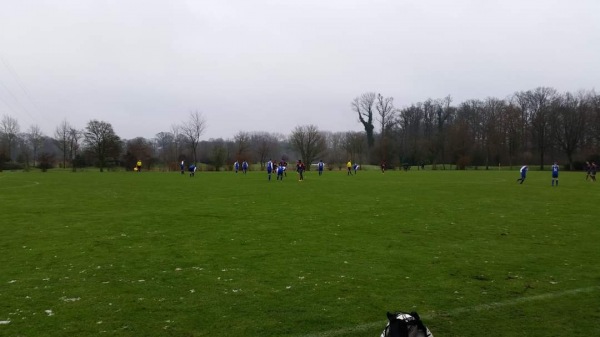 Sportpark De Waarbeek veld 3 - Hengelo OV