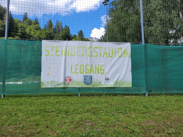 Steinbergstadion - Leogang