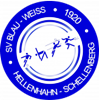 Wappen SV Blau-Weiß 1920 Hellenhahn-Schellenberg  111543