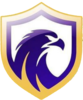 Wappen Falcon FC
