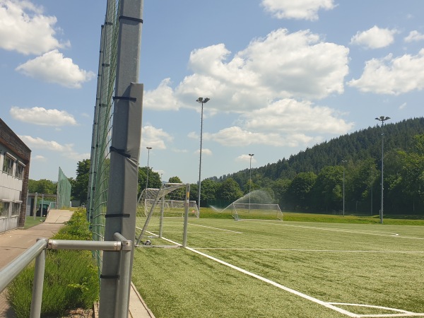 Fußballschule am Möslestadion - Freiburg/Breisgau