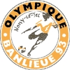 Wappen Olympique Noisy-le-Sec Banlieue 93  23623