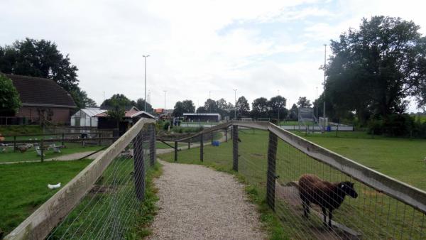Sportpark De Buitenham - Oude IJsselstreek-Varsselder