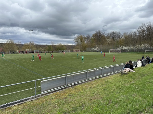 Sportanlage Schwendenwasen Platz 2 - Bempflingen