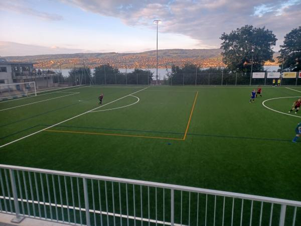 Sportplatz Cholenmoos - Oberrieden