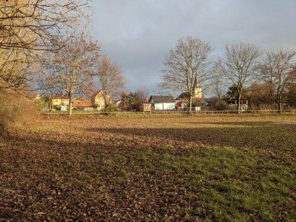 Sportplatz Laumersheim - Laumersheim