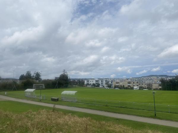 Sportanlage Buchlern Platz 5 - Zürich