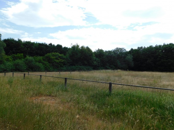 Sportplatz Hüblingen - Hüblingen