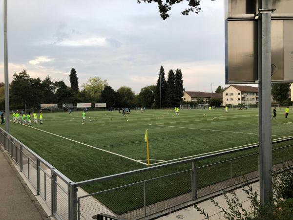 Sportplatz Steinkluppe - Zürich